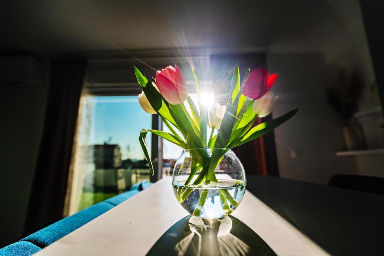 Holiday Apartment Zadar - With Summer Balcony And Parking Экстерьер фото